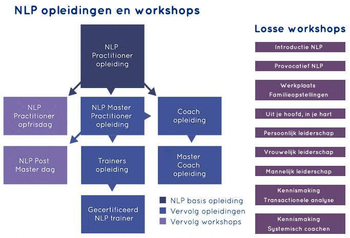 Wat is/wordt jouw route?